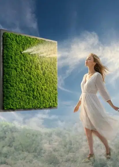 HeavensBreeze — das Raumklimagerät mit echtem Moos, App und Internetanbindung
