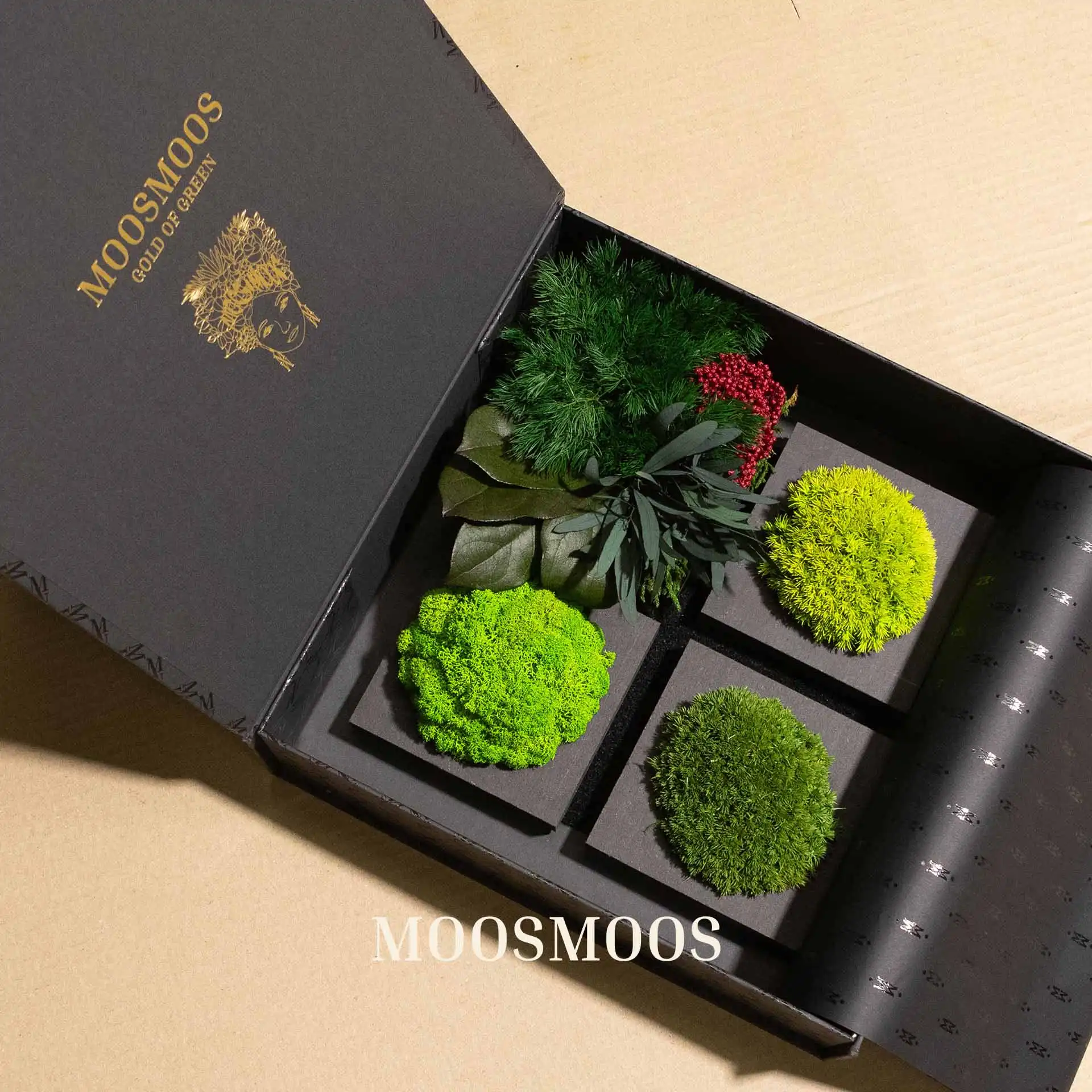 Geöffnete MOOSMOOS Musterbox mit Islandmoos-, Ballenmoos- und Dschungelpflanzen-Mustern