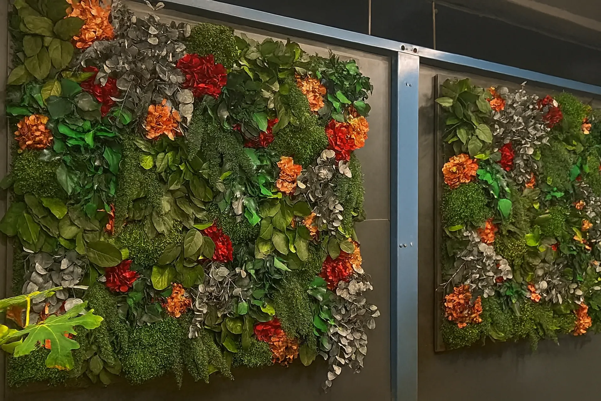 Blumenwand Moderne Referenz — Wandbegrünung von MOOSMOOS