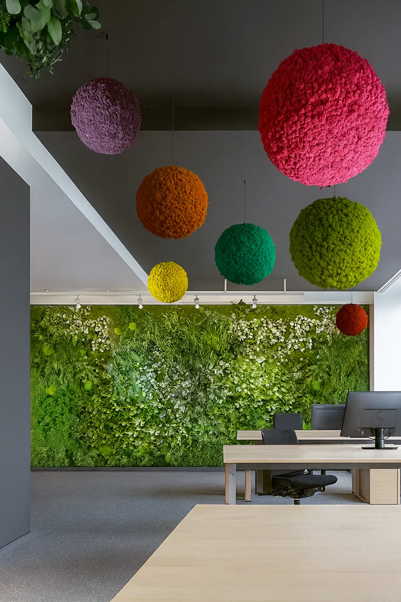 Hanging Garden Moderne Büro Empfang — Deckenbegrünung von MOOSMOOS