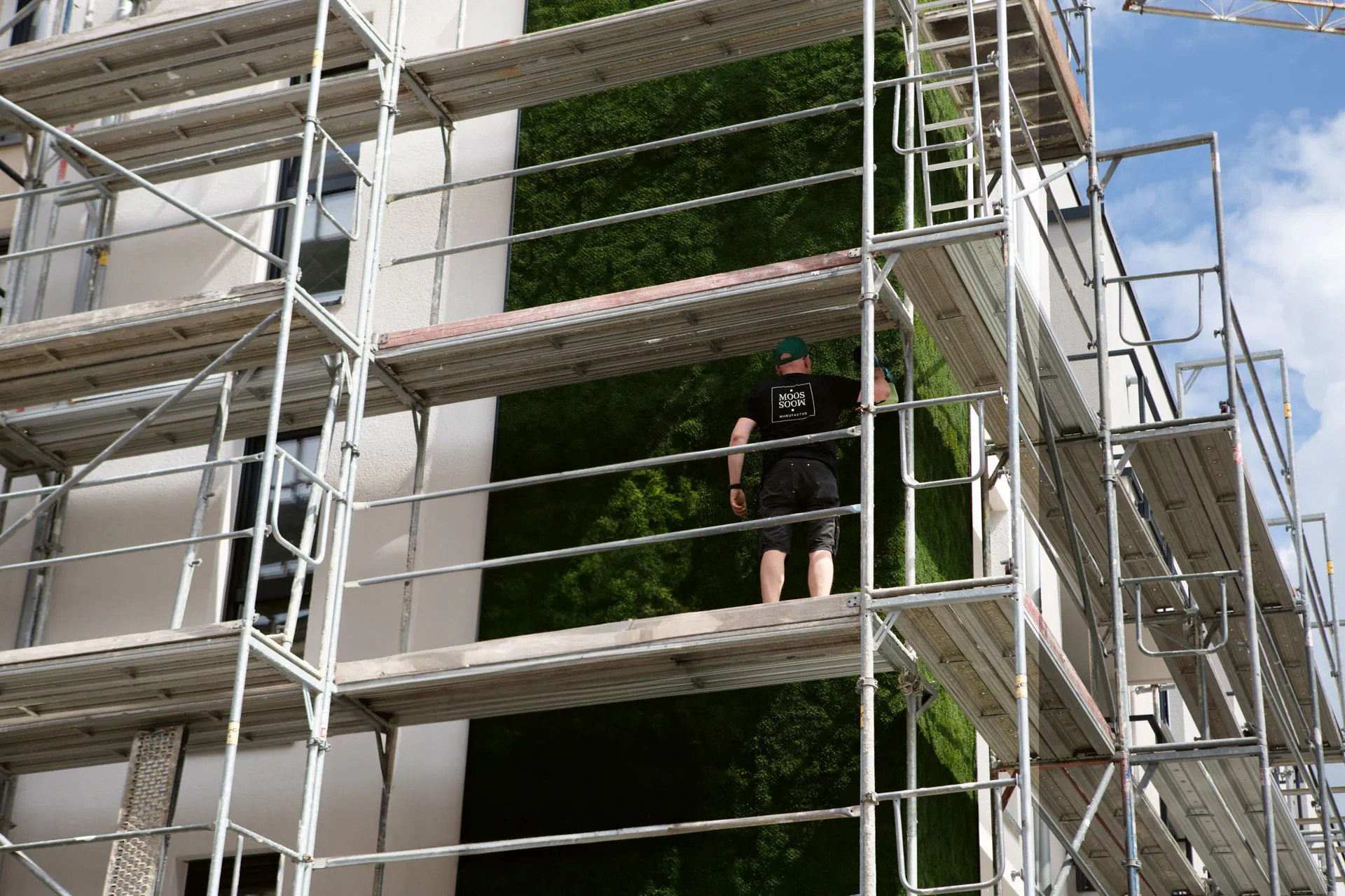 Montage des Greenovation-Systems — Moos-Fassadenbegrünung in der Stadt