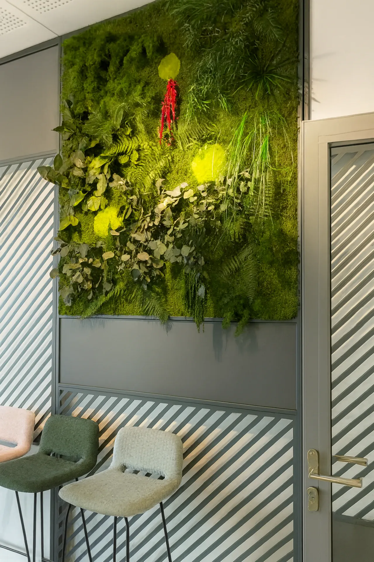 Moosbild Büro Mooskunst Akzent — Moosbilder von MOOSMOOS