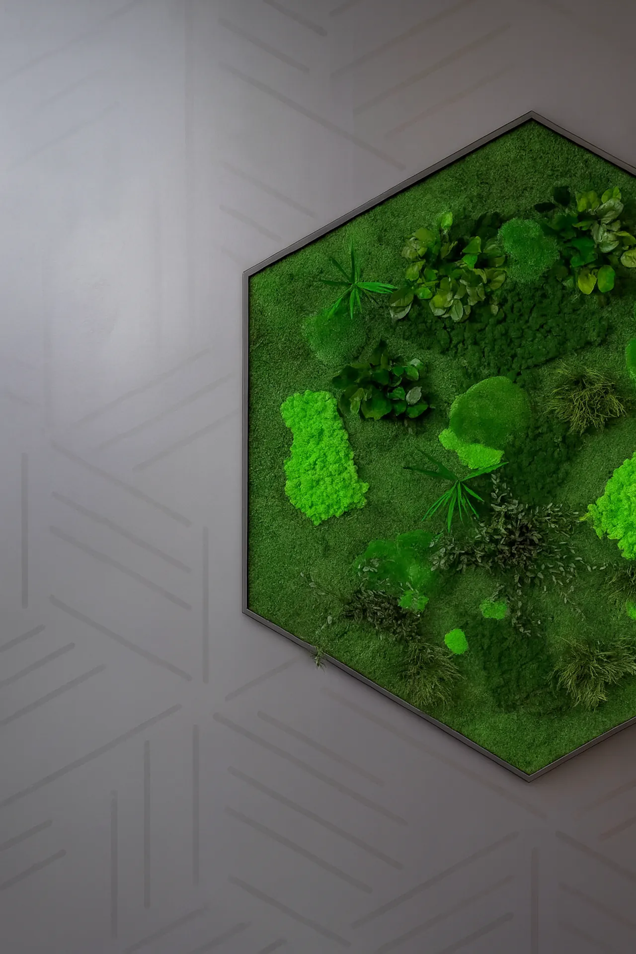 Moosbild Hexagon Moderne Wanddeko — Moosbilder von MOOSMOOS