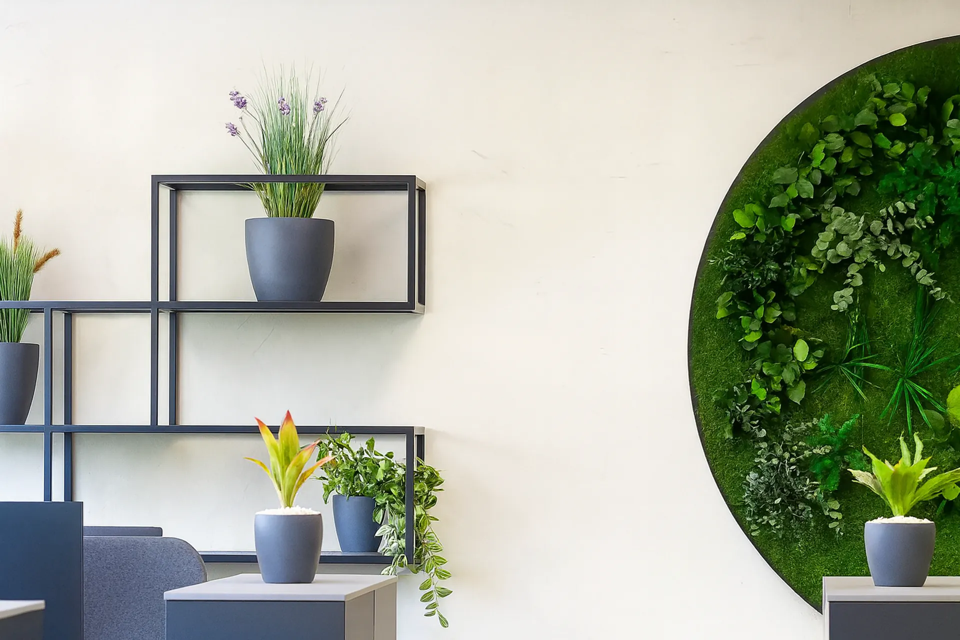 Moosbild Modern Büro Grünewand — Moosbilder von MOOSMOOS
