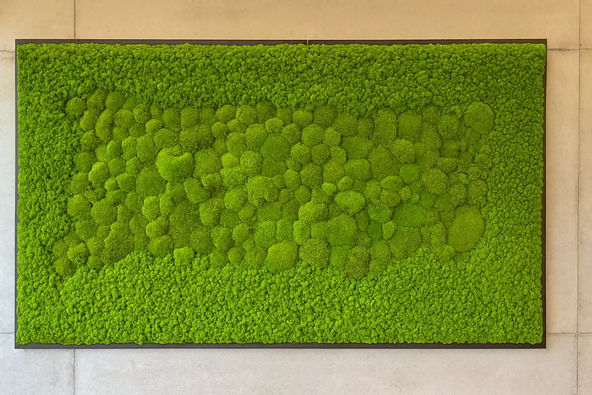 Moosbild Moderne Wandinstallation Büro — Moosbilder von MOOSMOOS