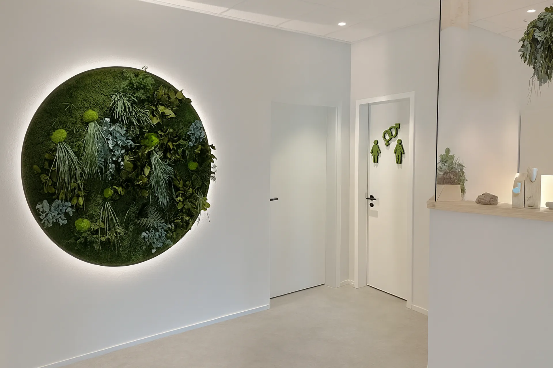 Moosbild Rund Beleuchtet Büro Empfang — Moosbilder von MOOSMOOS