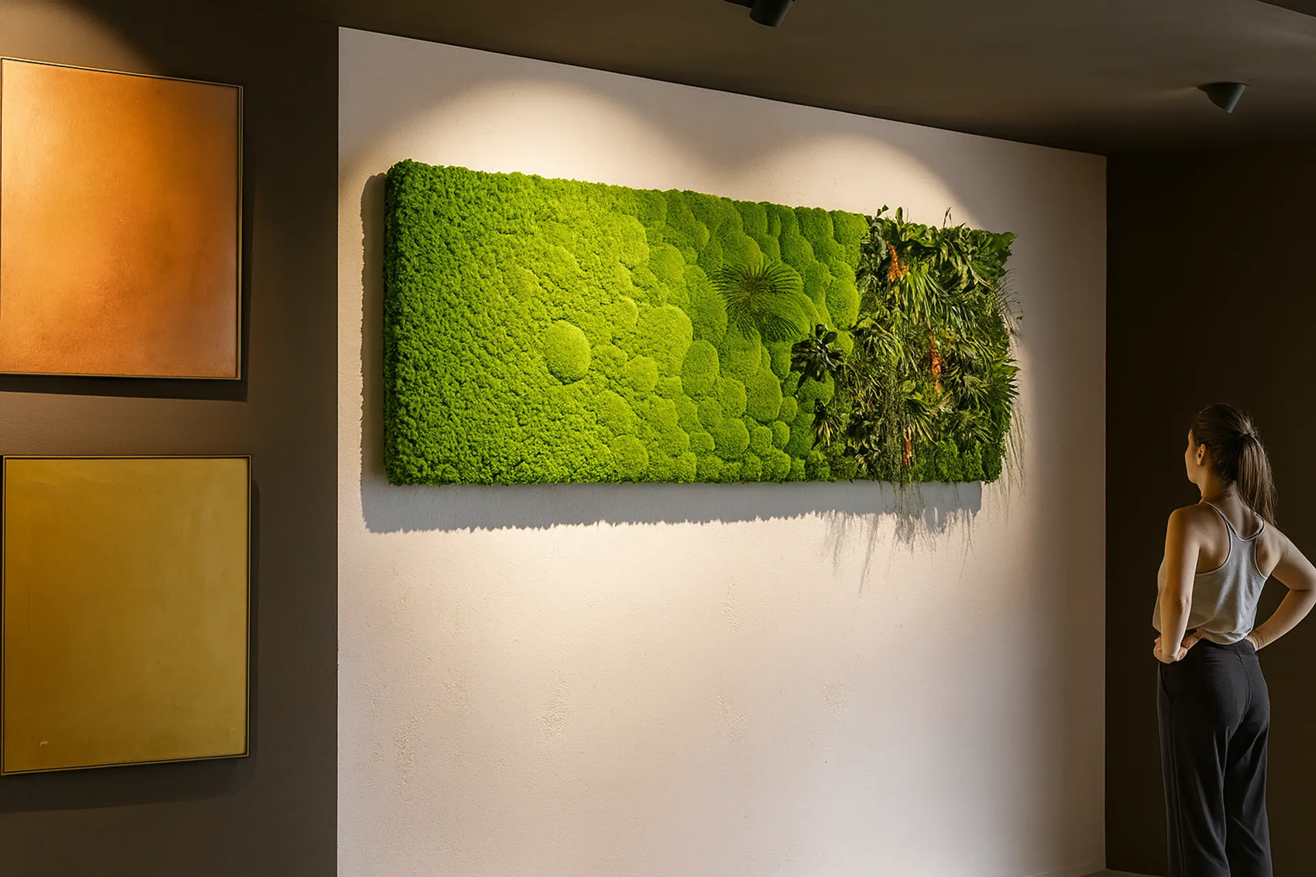 Moosbild Showroom Wandgestaltung Modern — Moosbilder von MOOSMOOS