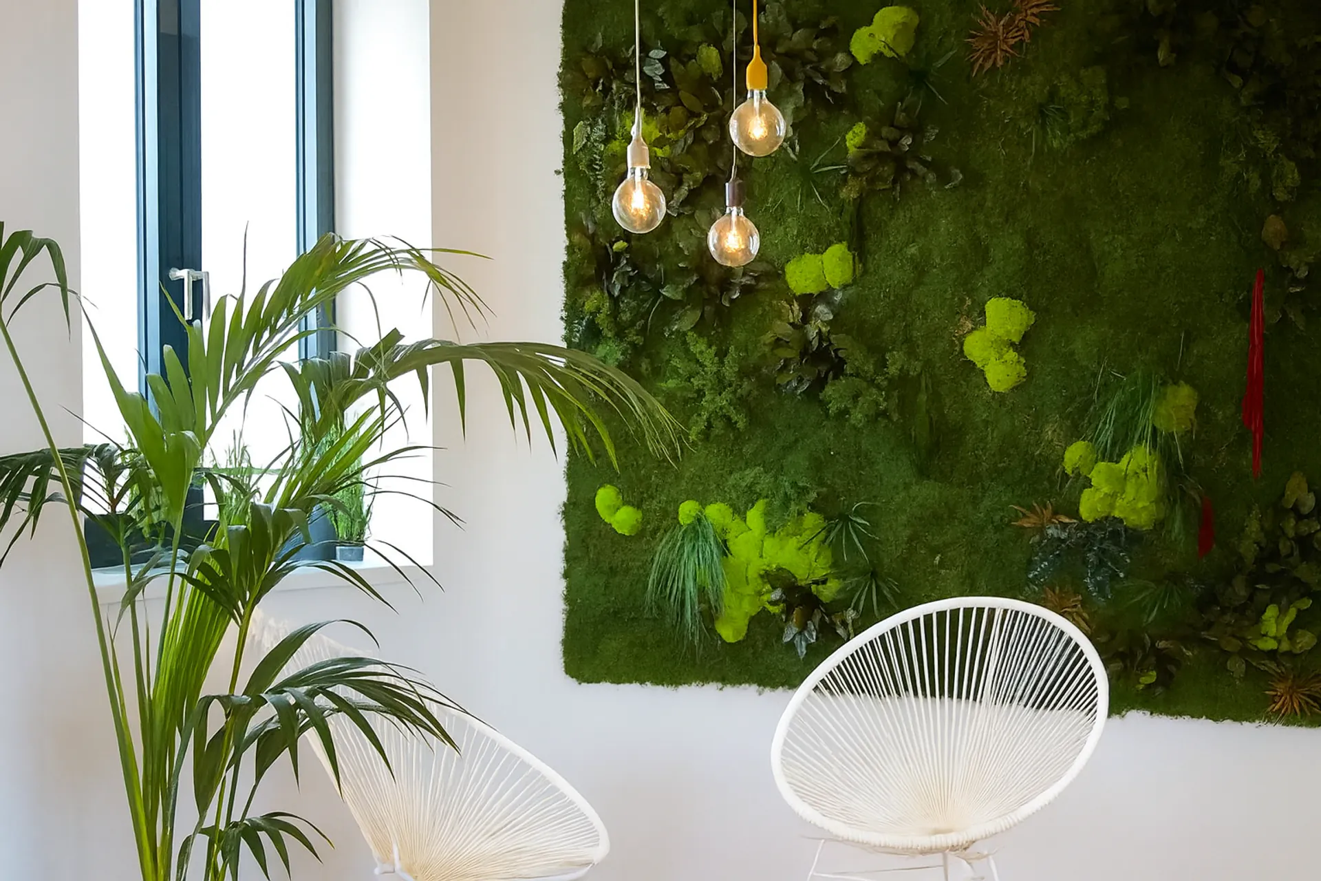 Hanging Garden Büro Modern — Deckenbegrünung von MOOSMOOS