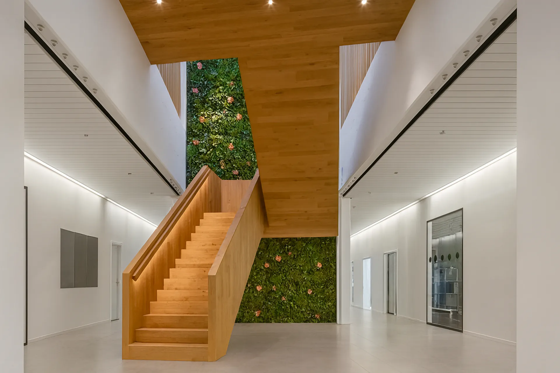 Hanging Garden Moderne Eingangslobby mit Treppe — Deckenbegrünung von MOOSMOOS