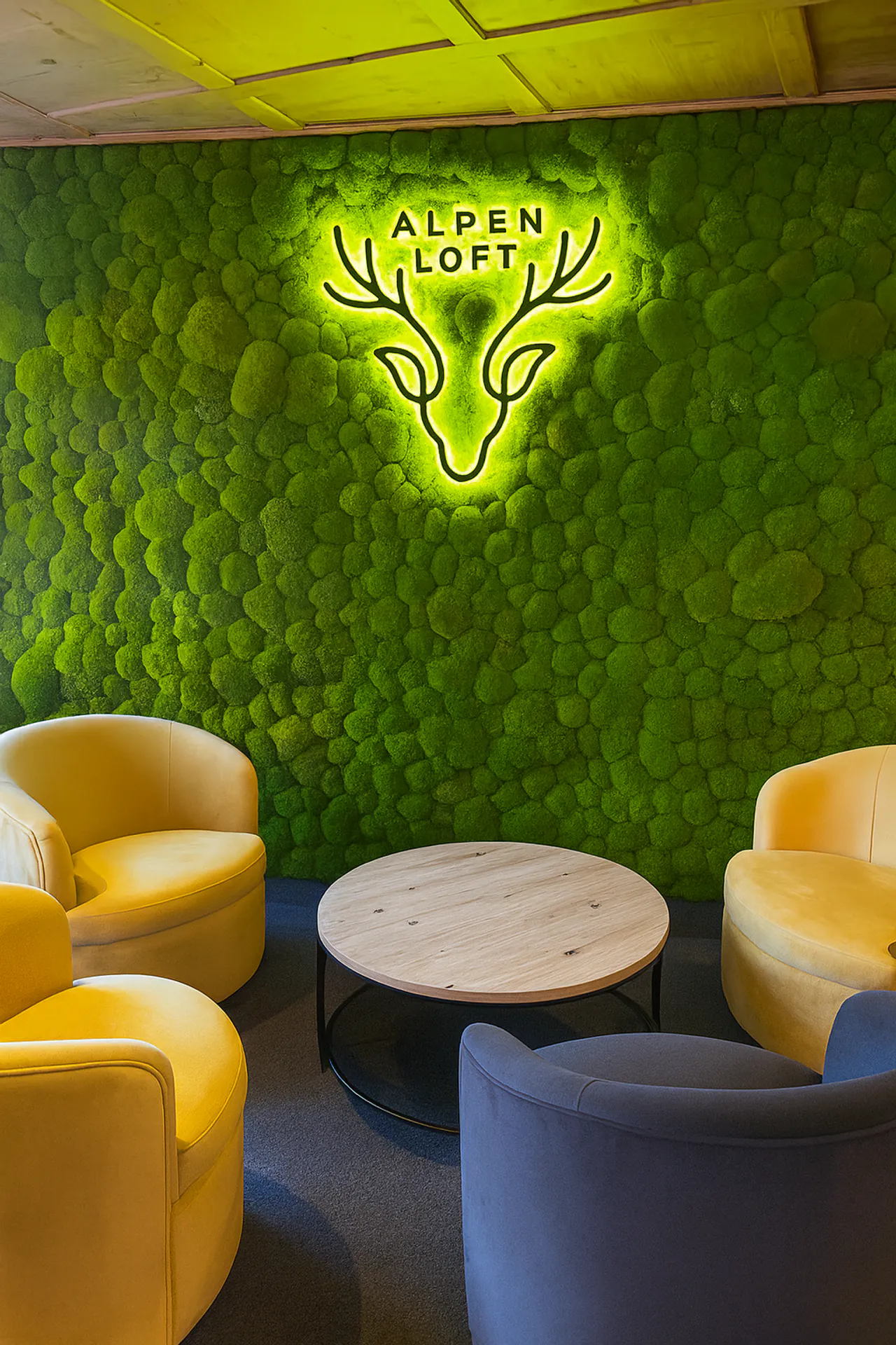 Logo aus Moos Moos Logo Empfang Büro — Logo aus Moos von MOOSMOOS