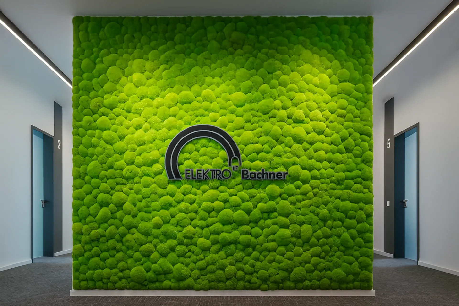 Logo aus Moos Showroom Logo Elektro Bachner — Logo aus Moos von MOOSMOOS