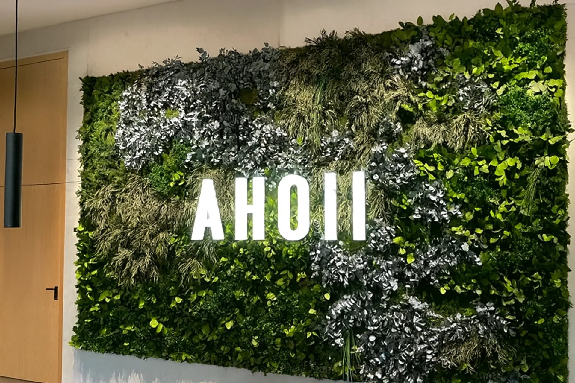 Logo aus Moos Showroom Moos Logo Wandinstallation — Logo aus Moos von MOOSMOOS