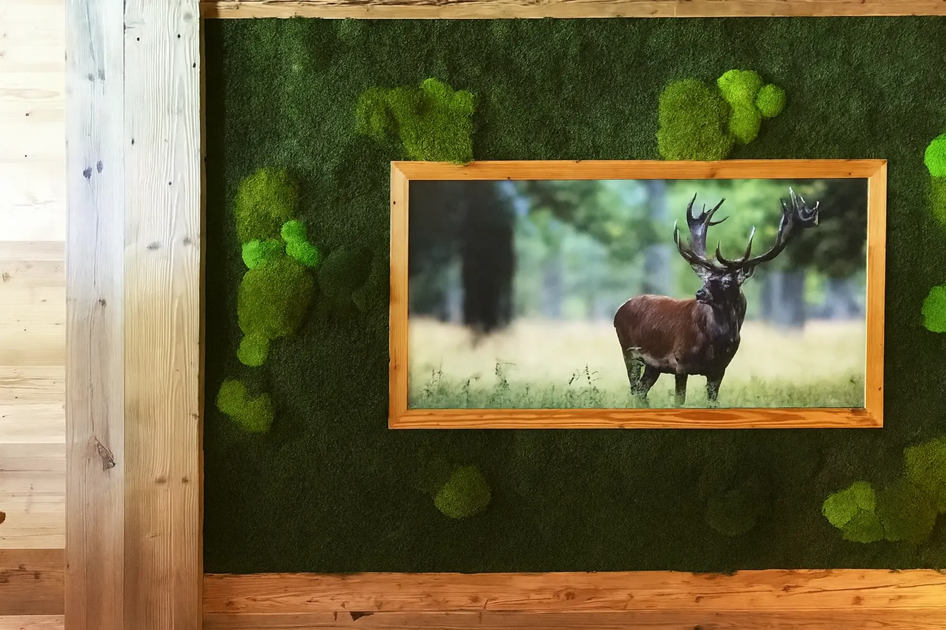 Moosbild Hirsch Moosrahmen Showroom — Moosbilder von MOOSMOOS