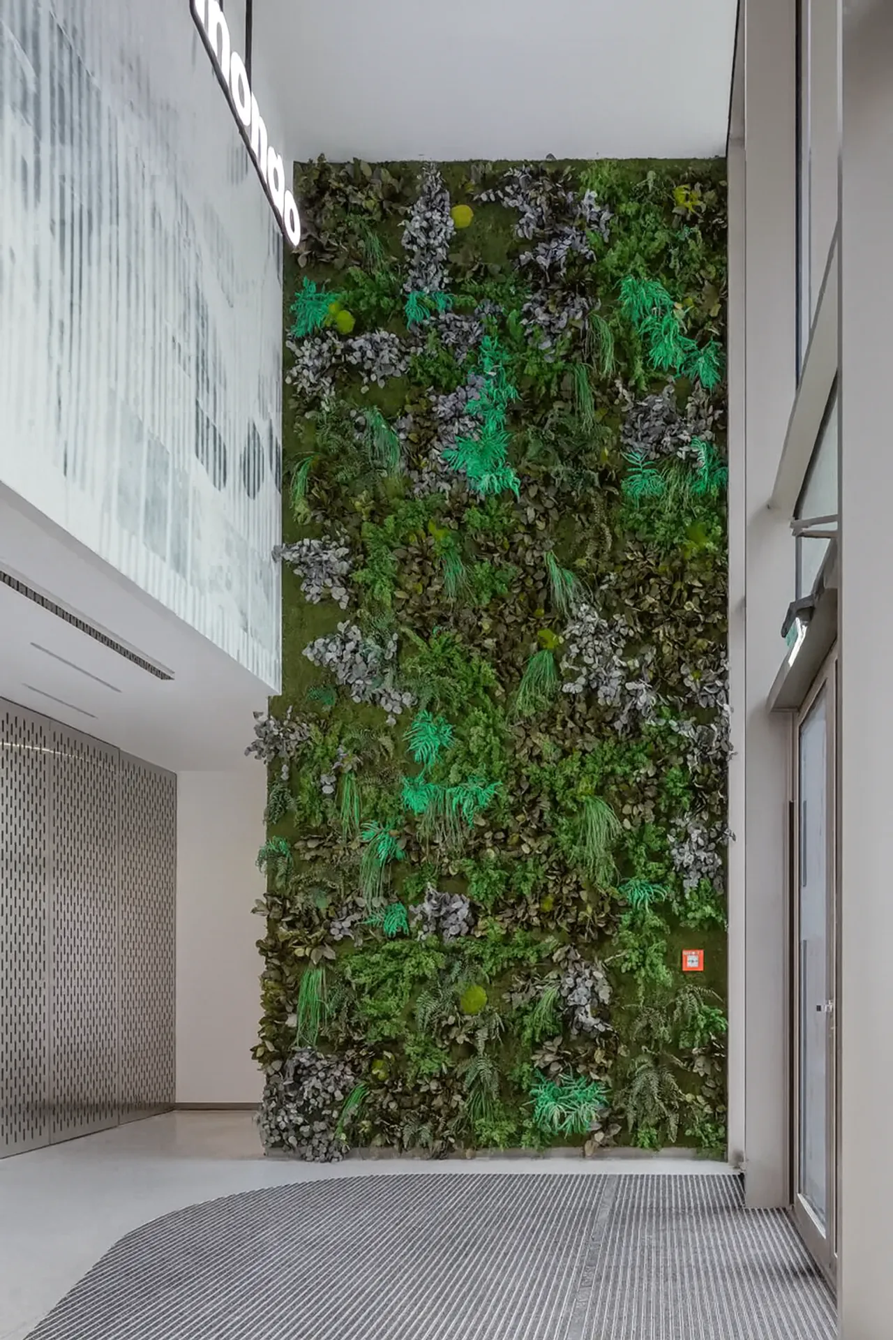 Moosdecke Moderne Büro Empfang — Deckenbegrünung von MOOSMOOS