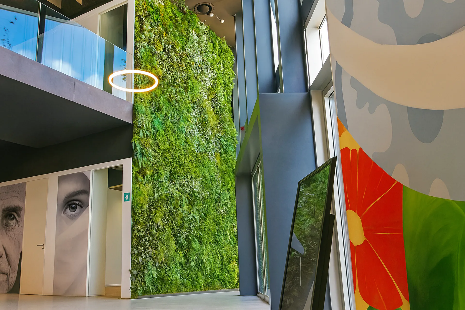 Moosdecke Showroom Deckenbegrunung Moderne Architektur — Deckenbegrünung von MOOSMOOS