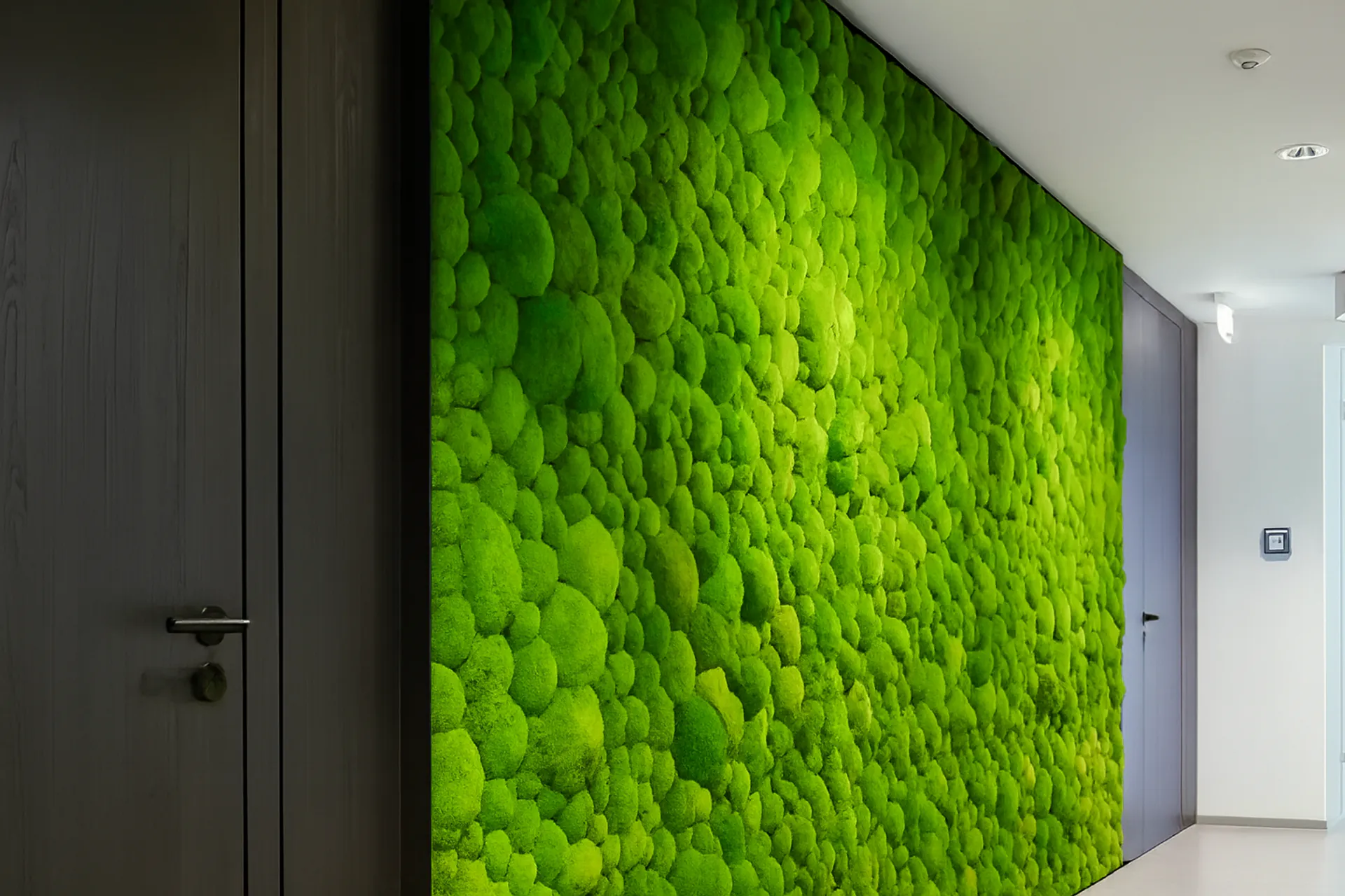 Mooswand Moderne Büro Empfang — Wandbegrünung von MOOSMOOS