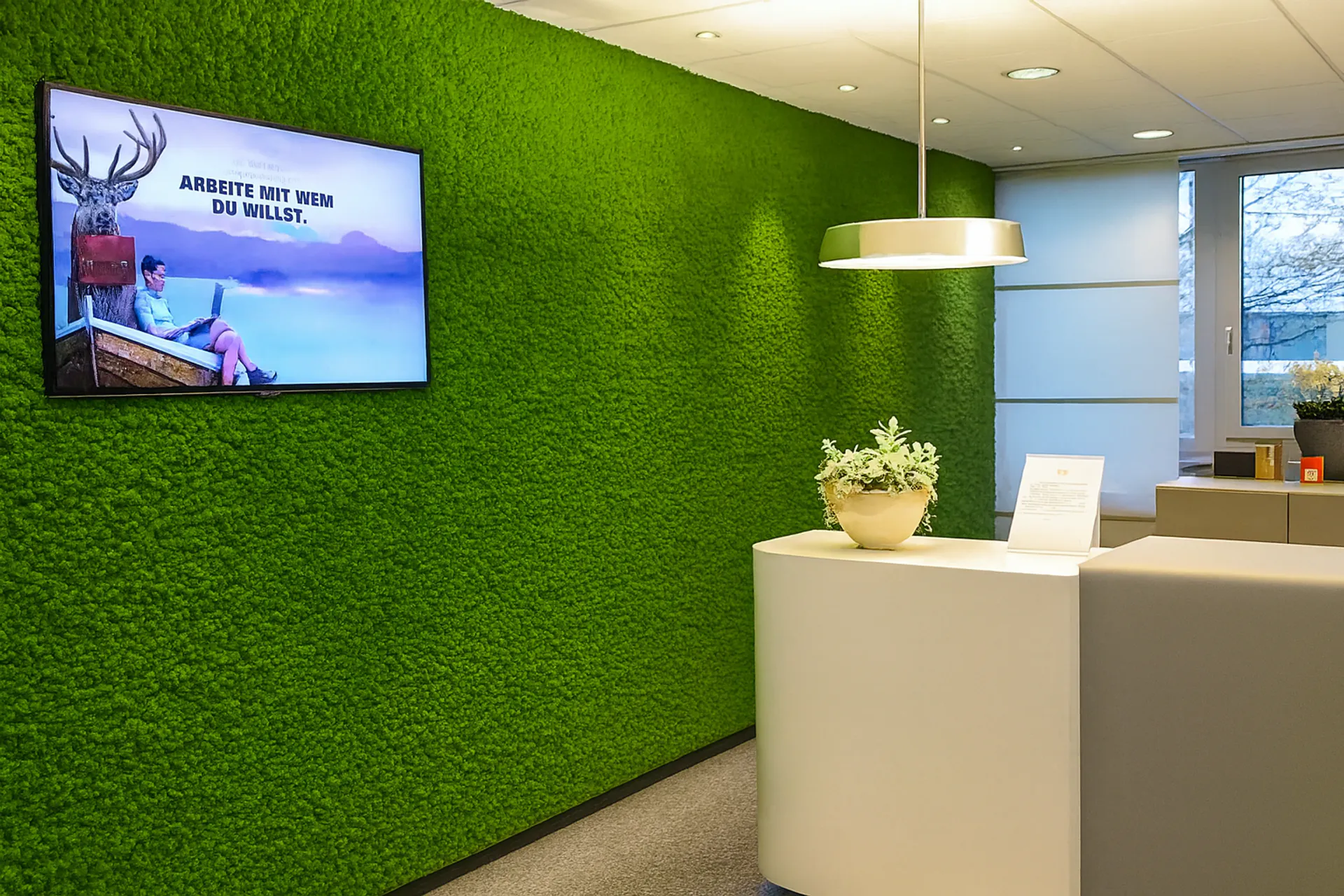 Mooswand Moderne Büro Empfang — Wandbegrünung von MOOSMOOS