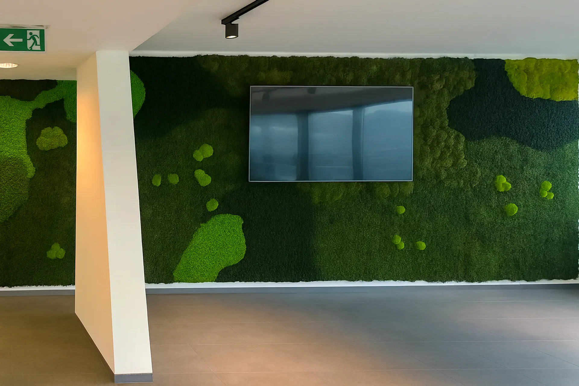 Mooswand Moderne Büroinstallation — Wandbegrünung von MOOSMOOS