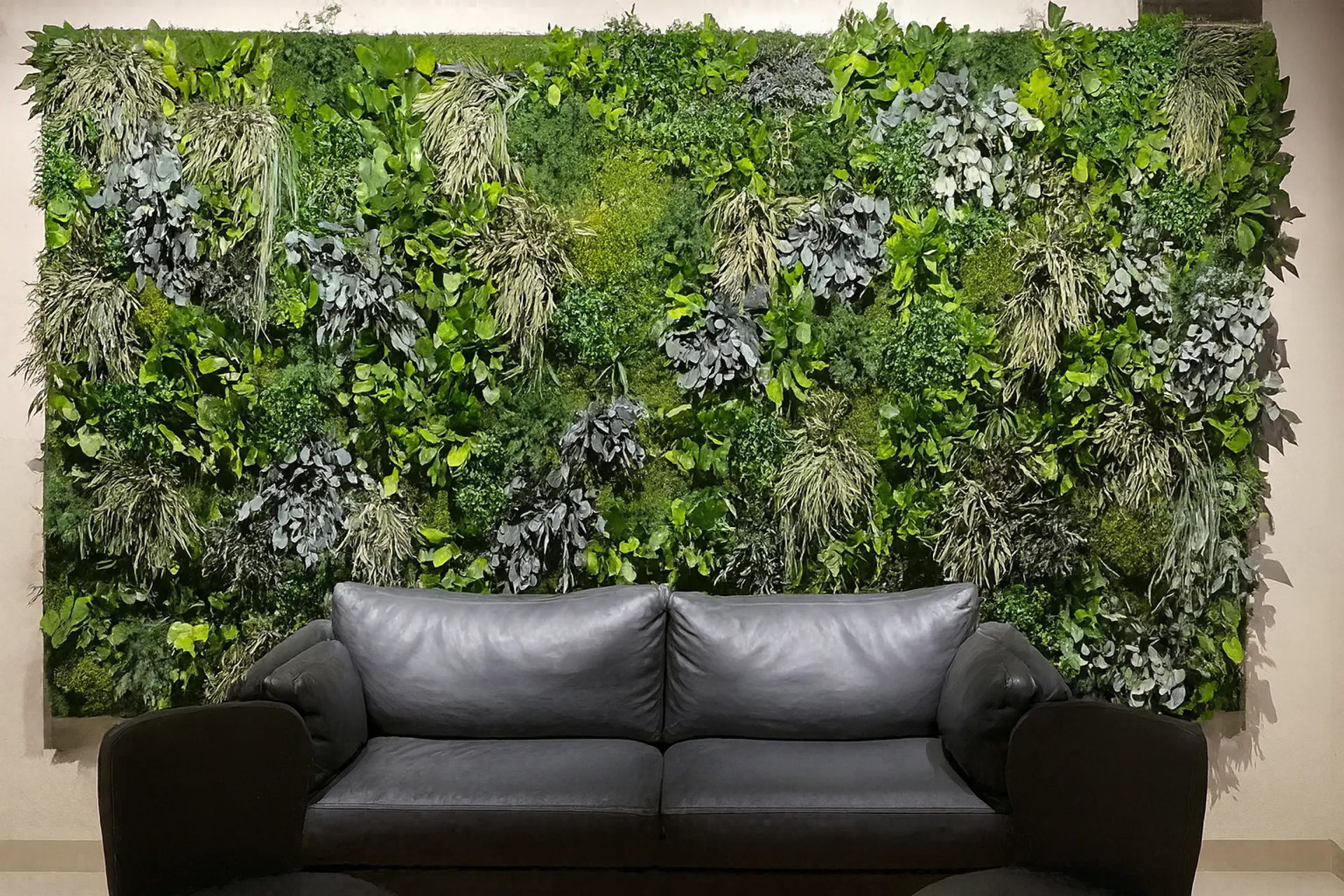 Mooswand Moderne Lounge mit Sofa — Wandbegrünung von MOOSMOOS