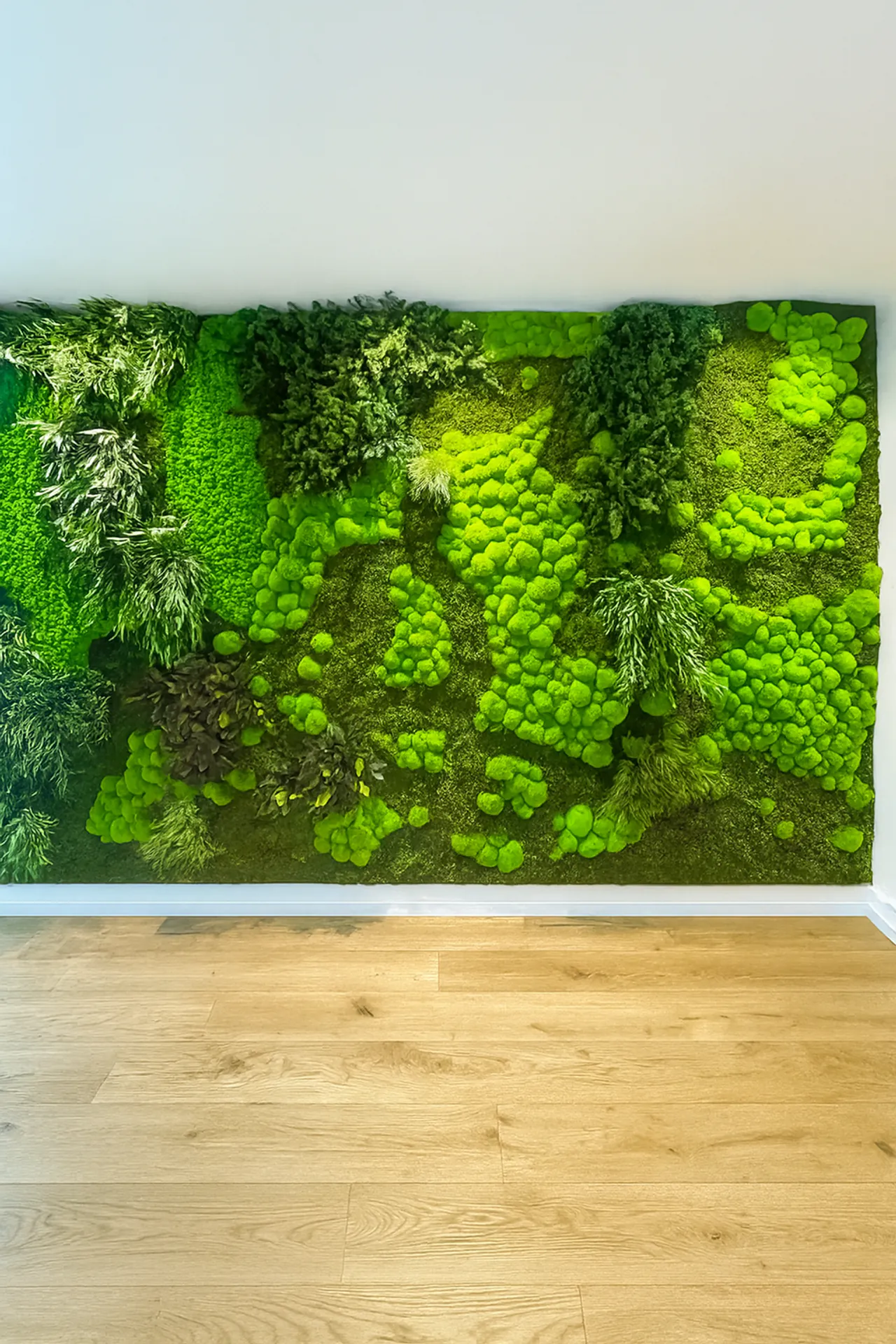 Mooswand Moderne Showroom Installation — Wandbegrünung von MOOSMOOS