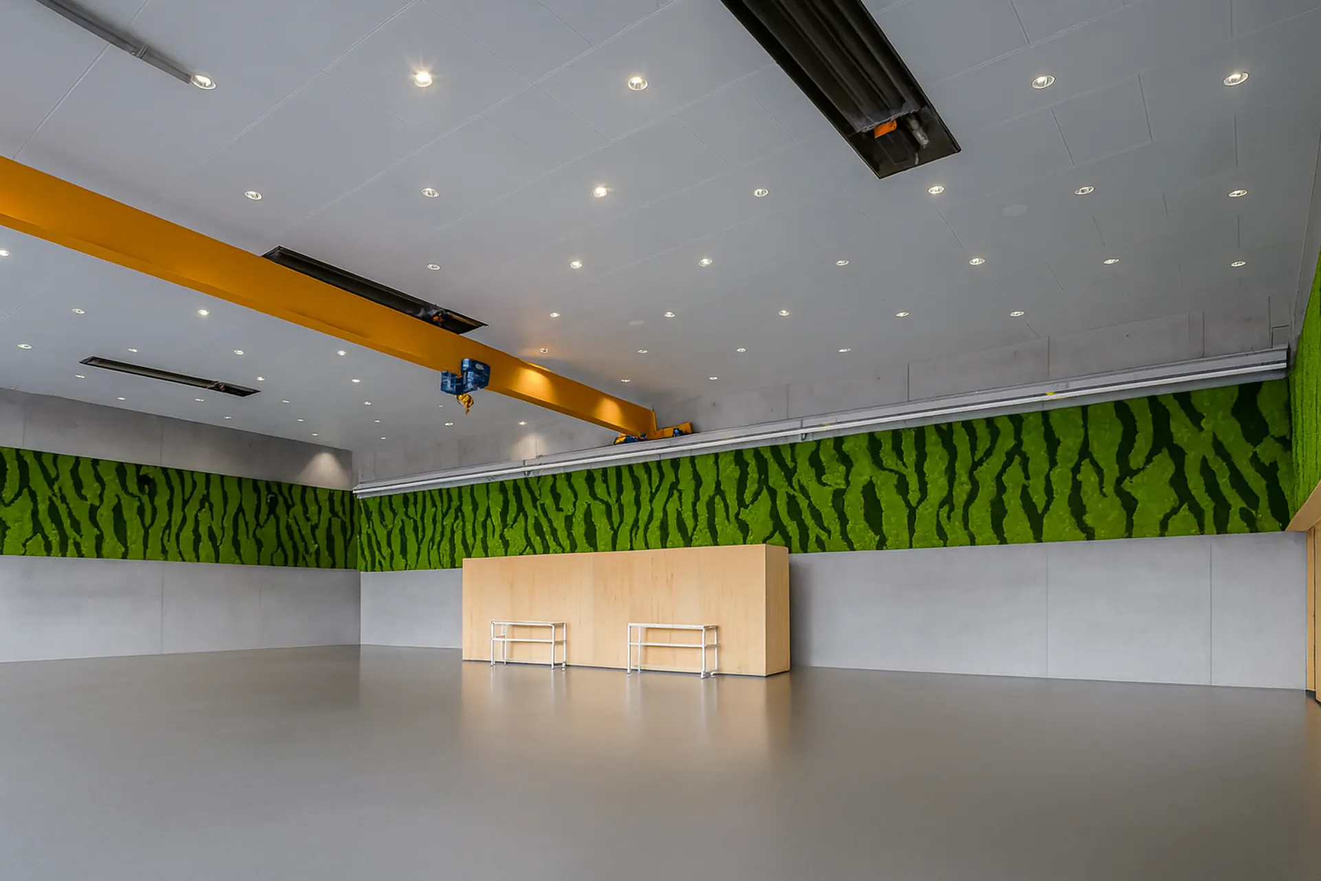 Mooswand Modernes Büro Grossraumbereich — Wandbegrünung von MOOSMOOS