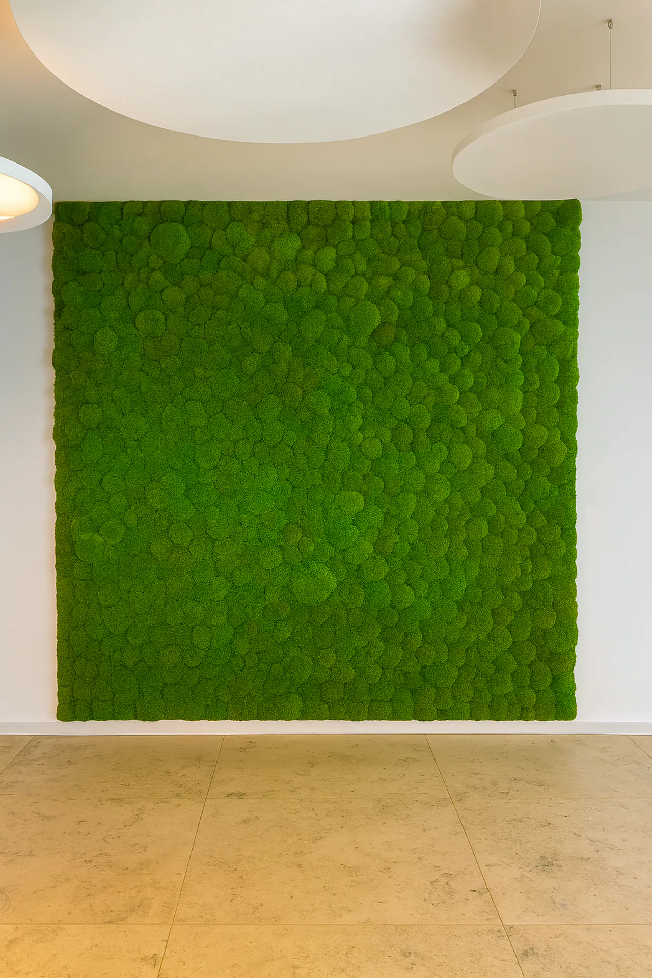 Mooswand Showroom Moderne Wandinstallation — Wandbegrünung von MOOSMOOS