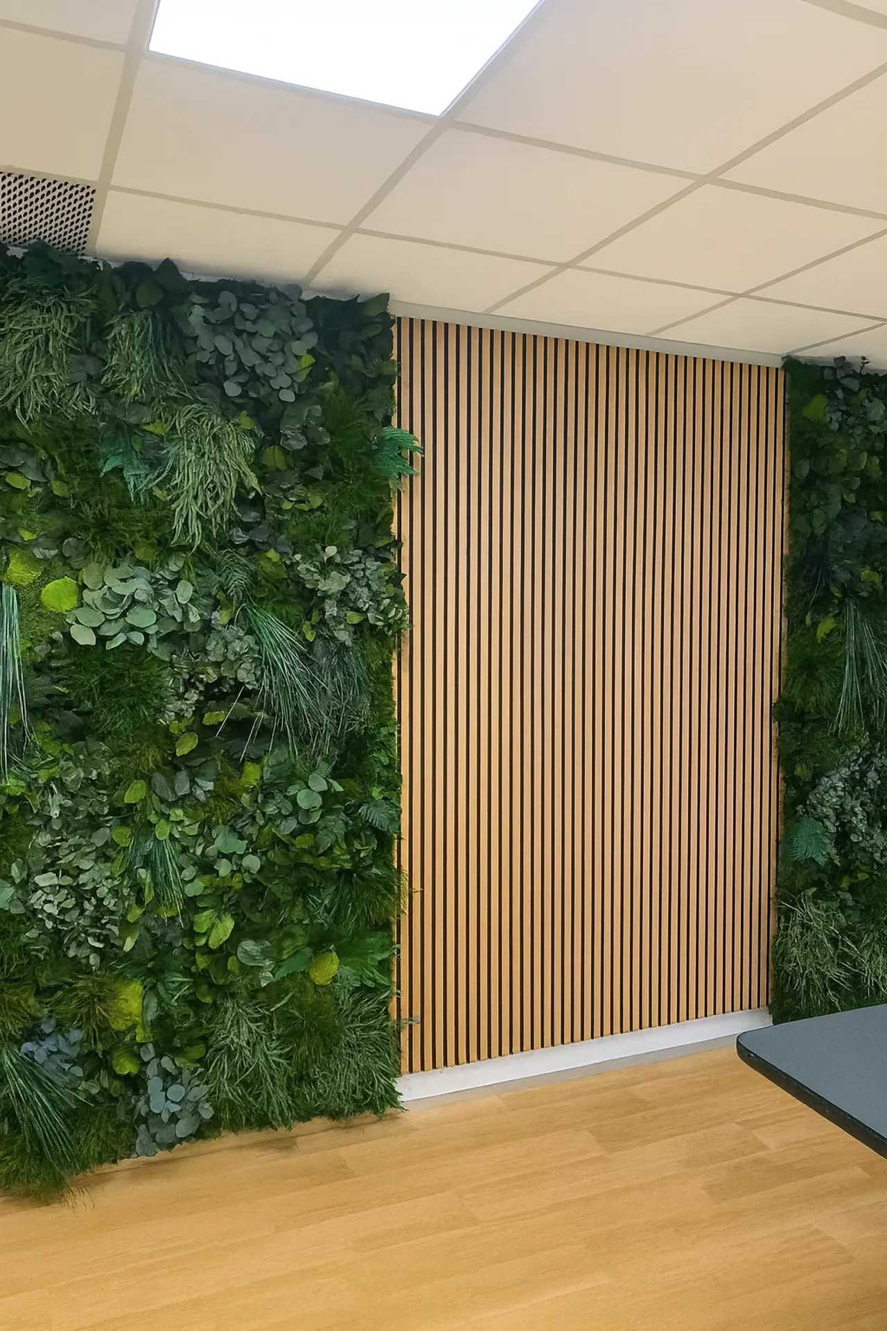 Raumteiler Büro Modern — Raumteiler & Akustik von MOOSMOOS