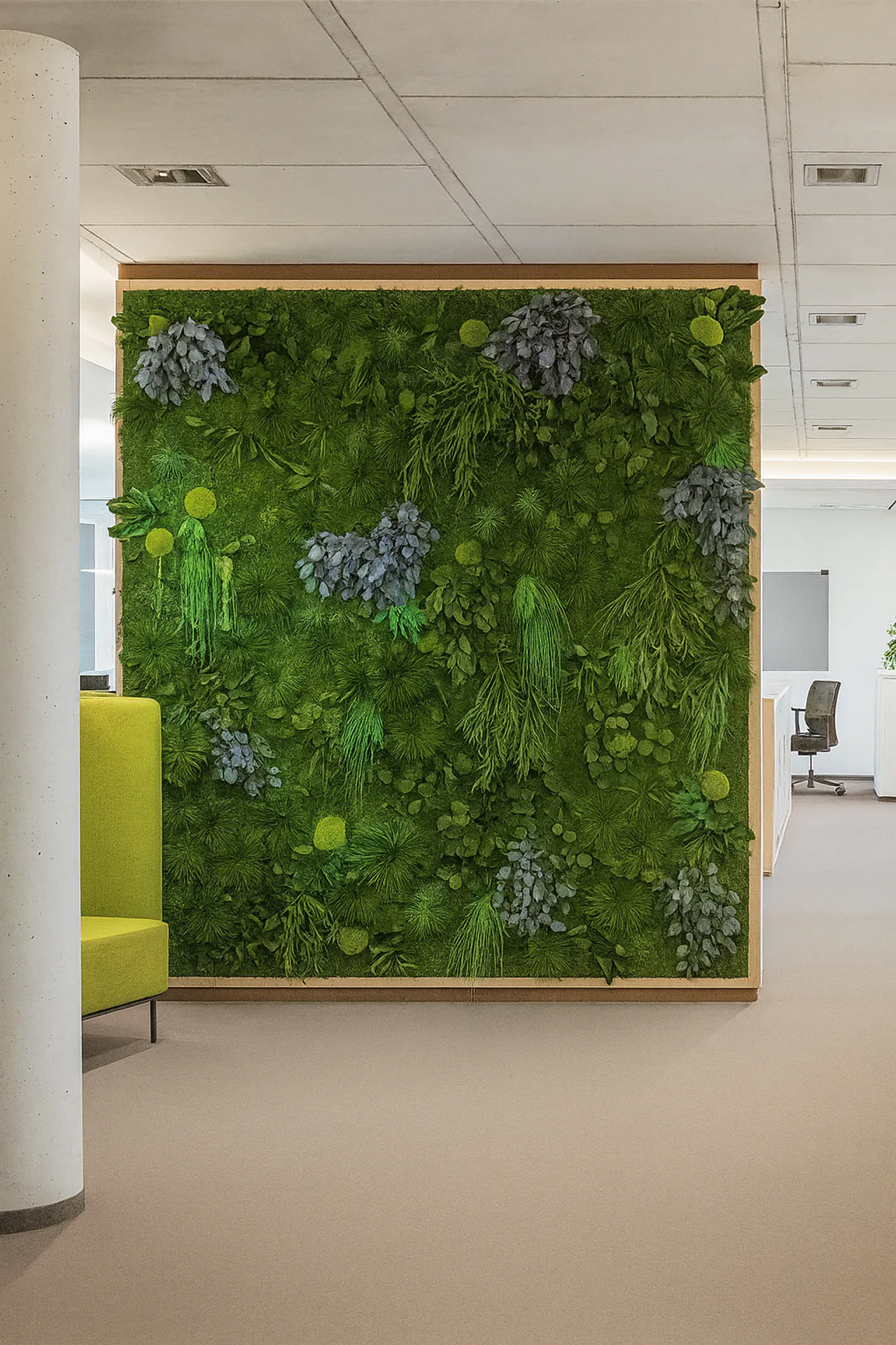 Mooswand Moderne Büro Akustikwand — Wandbegrünung von MOOSMOOS