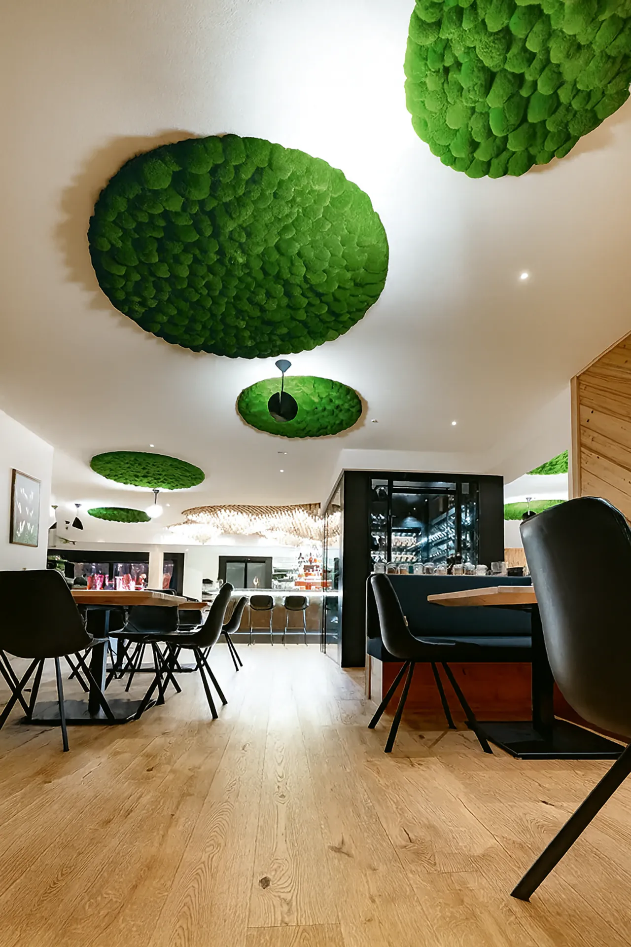 Echtes konserviertes Moos — Hanging Garden von MOOSMOOS