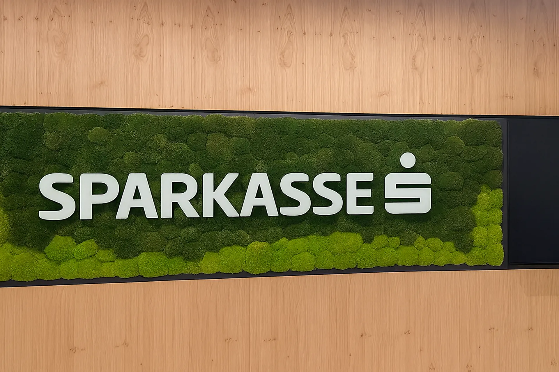 Logo aus Moos Sparkasse Logo Moos — Logo aus Moos von MOOSMOOS