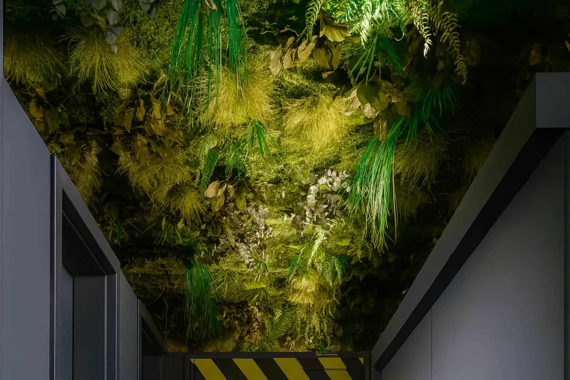 Hanging Garden Büro Deckeninstallation — Deckenbegrünung von MOOSMOOS