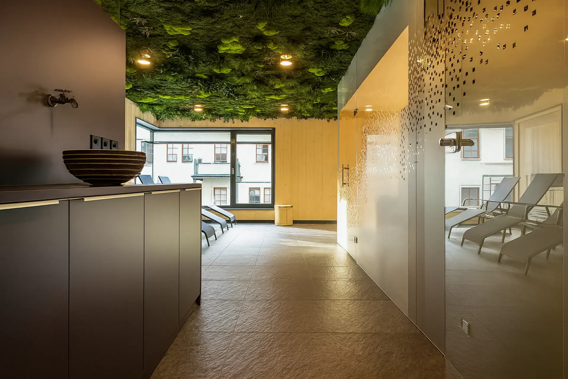 Hanging Garden Wellness Empfang mit Grüner — Deckenbegrünung von MOOSMOOS