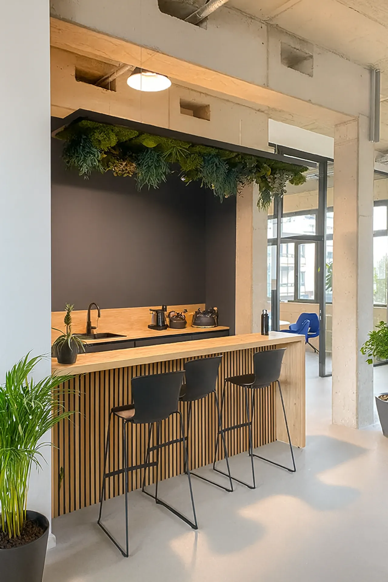 Moosdecke Begrünte Büro Küche Theke — Deckenbegrünung von MOOSMOOS
