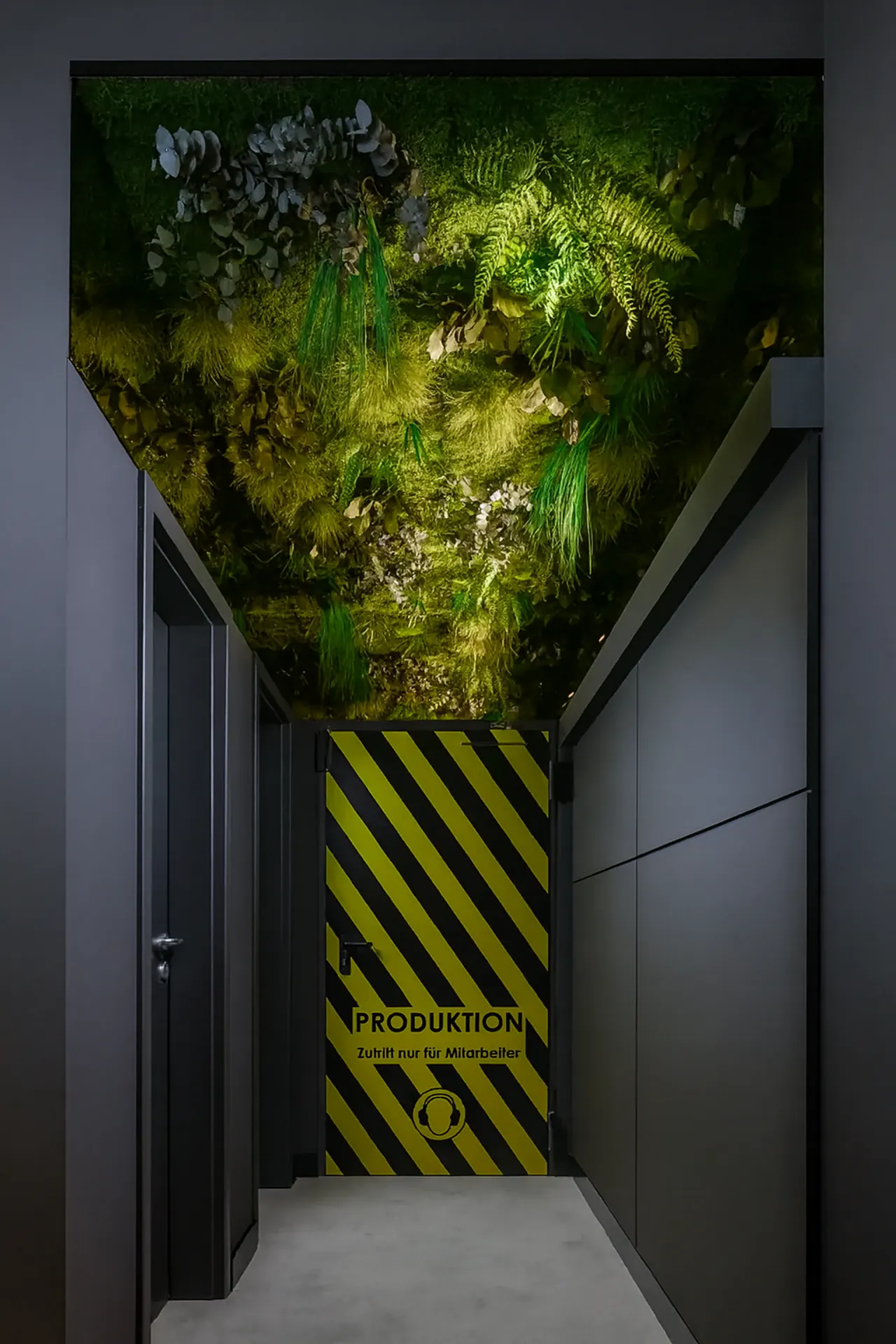 Moosdecke Showroom Installation — Deckenbegrünung von MOOSMOOS