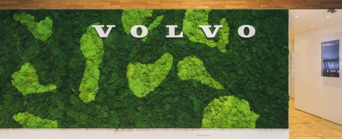 Mooswand aus Ballenmoos mit Logo Volvo