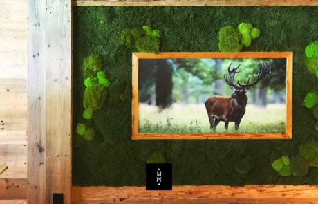 Bild in Wald und Ballenmoos gerahmt Bild mit einem Hirsch in Waldmoos und Ballenmoos gerahmt