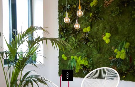 Dschungelmooswand Design Dschungelmooswand