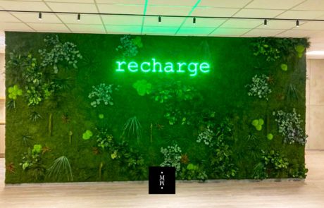 Dschungelmooswand Recharge dschungelmooswand Recharge hinterleuchtetes LogoLogo