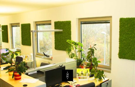 Islandmoospanels Buero Paneele aus Islandmoos Büro