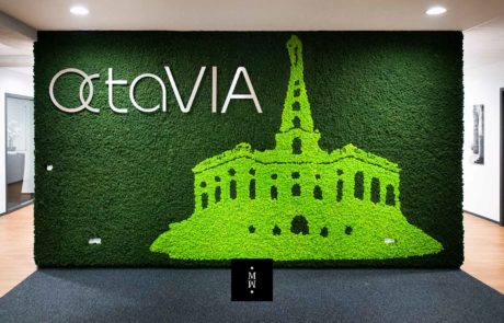 Islandmooswand Octavia mit Logo Mooswand Islandmoos mit Acrylbuchstaben Octavia