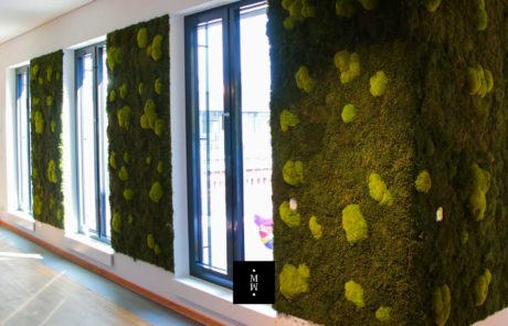Wald und Ballenmoos Wand Design Mooswand aus Waldmoos und Ballenmoos
