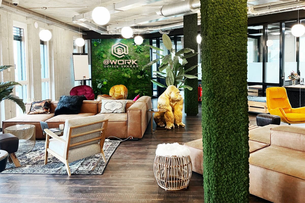 MoosMoos Showroom Rostock