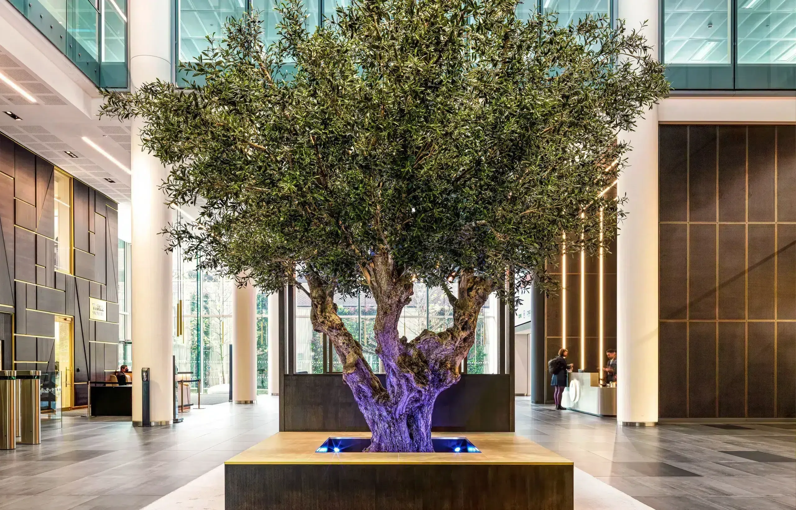 MoosMoosArtTree Olive im Einkaufzentrum