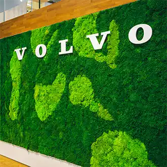 Volvo Logo auf Mooswand