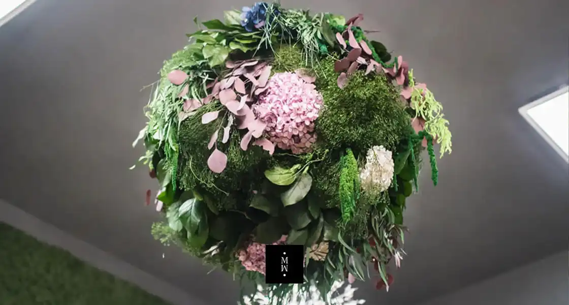 a green plant with flowers
