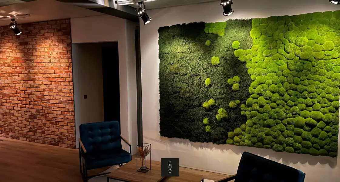 a green wall with a plant on it
