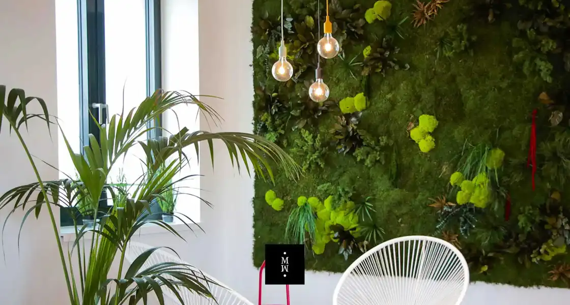a plant wall with plants and light bulbs