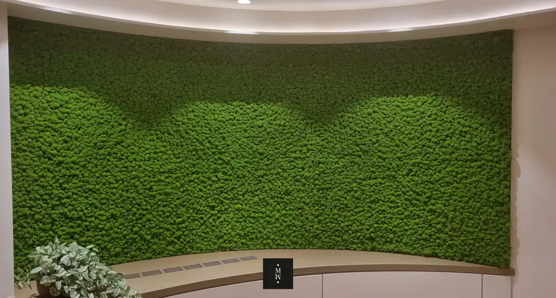a green wall with a white shelf