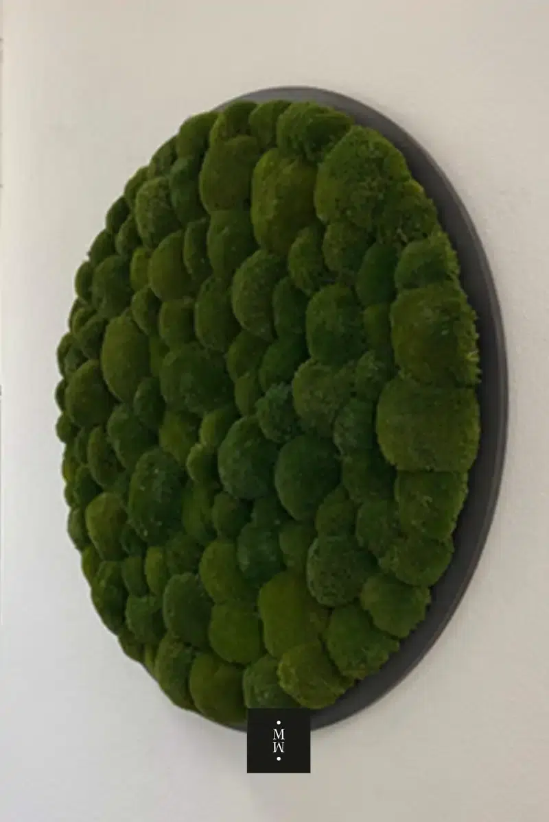 a green circular object on a white wall