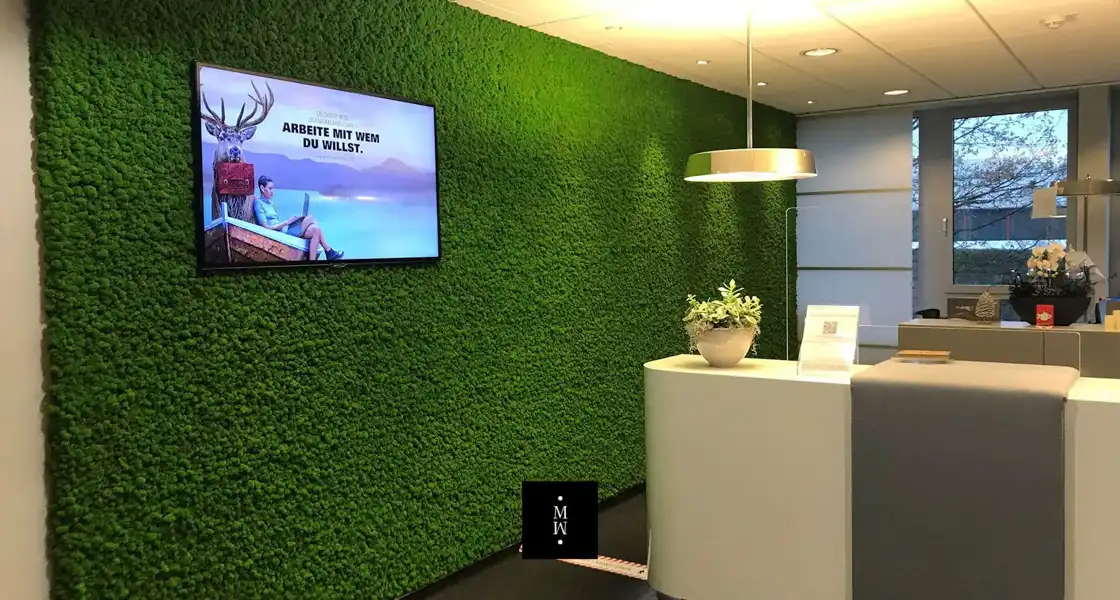 a tv on the wall
